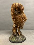 A taxidermy owl on stand