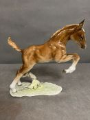 A Hutschenreuther porcelain foal (20cm x 20cm)