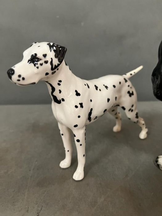 Three Beswick ceramic dogs to include spaniels (H18cm tallest) - Image 7 of 8