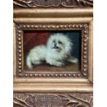 A small framed oil on board of a dog 9cm x 6.5cm
