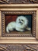 A small framed oil on board of a dog 9cm x 6.5cm