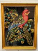 A framed needlework of a parrot