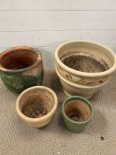 A selection of mixed garden pots
