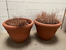 A pair of faux terracotta style planters