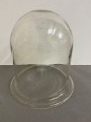 A glass dome with with rim/top hat style (27cm x 26cm)