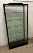 A glass display cabinet with inset down lighters and five shelfs (H200cm W100cm D38cm)