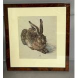 A vintage print of an Hare (35cm x 38cm)