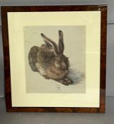 A vintage print of an Hare (35cm x 38cm)