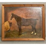 Oil on board of a bay horse signed bottom right Brampton, yellow horse rug with H A L initials in