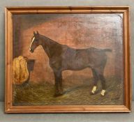 Oil on board of a bay horse signed bottom right Brampton, yellow horse rug with H A L initials in