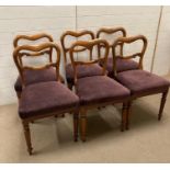 A set of six mahogany dining chairs upholstered in purple on turned front legs