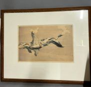 Ducks in flight by Allen William Seaby