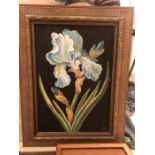 Still Life of an Iris signed lower right C. Hubbard - Ford 48cm x 70cm