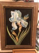 Still Life of an Iris signed lower right C. Hubbard - Ford 48cm x 70cm