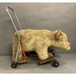 A Vintage push along and ride on Bear