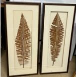 Two boxed framed Fern pictures (38cm x 90cm)