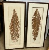 Two boxed framed Fern pictures (38cm x 90cm)