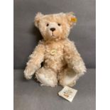 Classic Steiff Teddy Bear in mohair, Apricot 005022 with growler.