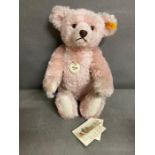 Classic 1907 Steiff Teddy with all tags and labels and growler in pink
