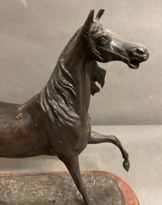 A Bronze of a Horse on a marble plinth, plinth 34 cm in length. - Image 2 of 8
