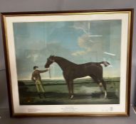 A print of Dlomed Winner of the first Epsom Derby 1780