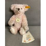 Classic 1920 Steiff Teddy with all tags and labels in pink with squeak.