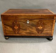 An antique tea caddy with ornate fruit wood shell decoration.