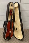 A violin cased AF