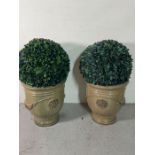 A pair of glazed garden pots with faux box hedge balls