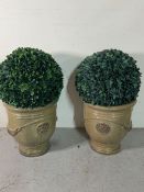 A pair of glazed garden pots with faux box hedge balls