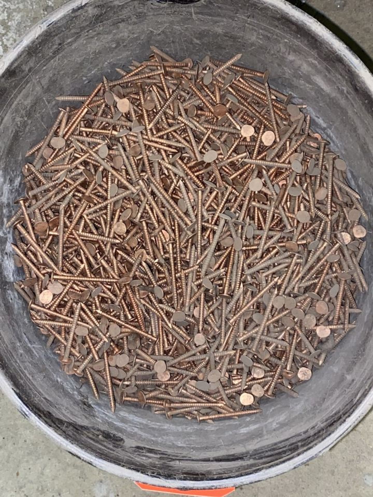 Lot - Copper Nails in 5-Gallon Plastic Bucket - Image 2 of 2