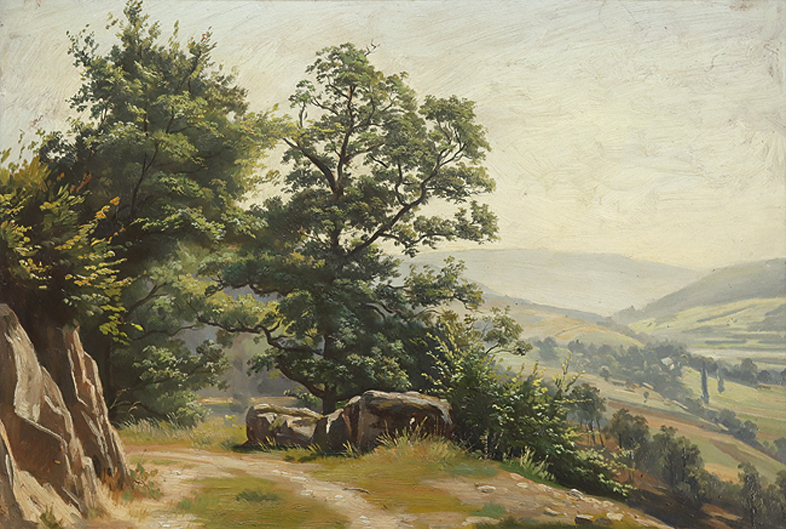 MAX WOLF: Blick von einem Waldweg in das Neckartal mit Stift Neuburg bei Heidelberg.