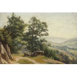 MAX WOLF: Blick von einem Waldweg in das Neckartal mit Stift Neuburg bei Heidelberg.