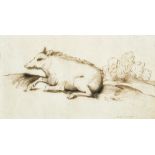 GUERCINO, eigentl. GIOVANNI FRANCESCO BARBIERI - Nachfolge: Ruhendes Wildschwein.