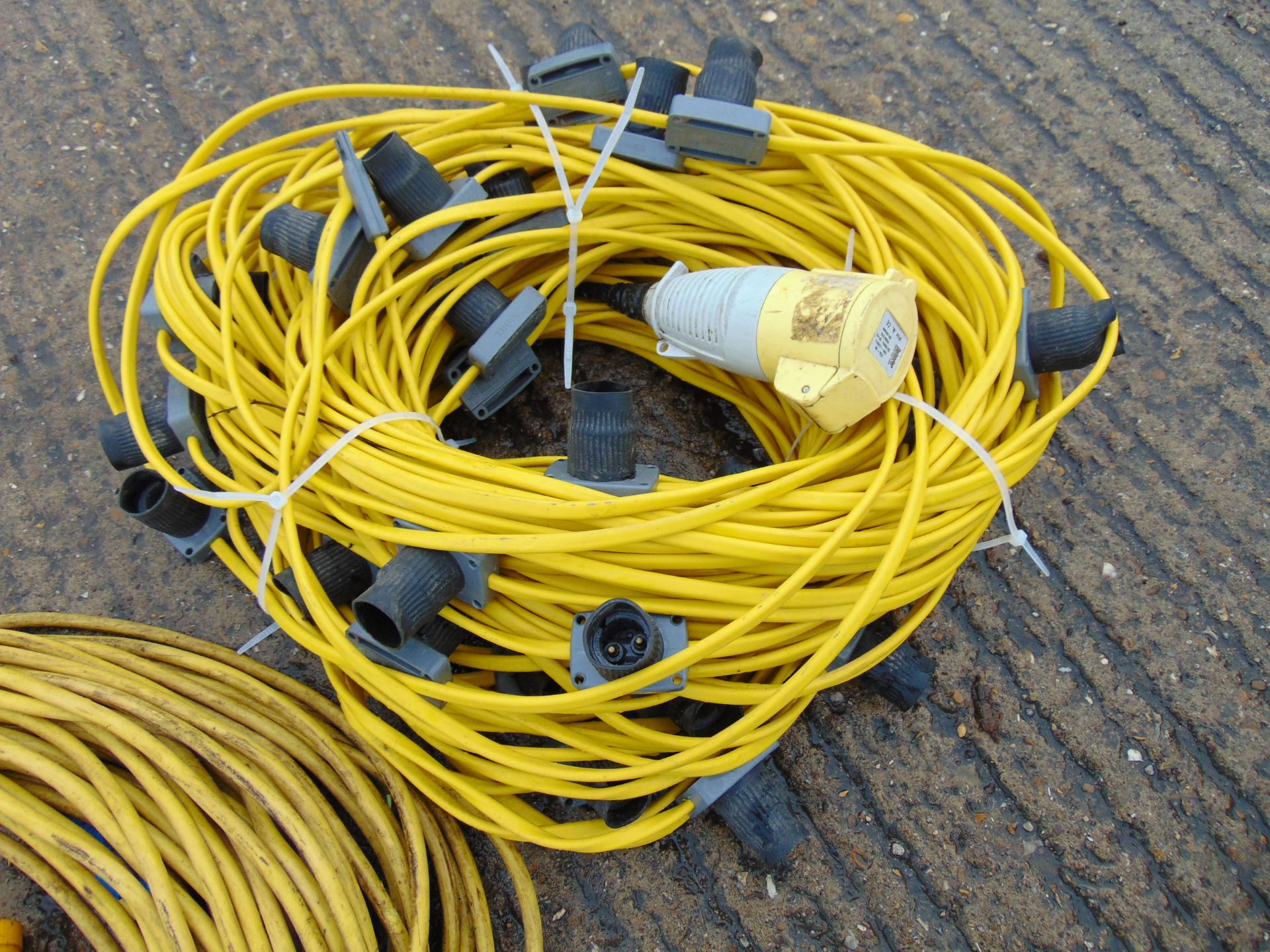 110V Cable & 110V Festoon Lighting Cable - Image 2 of 3