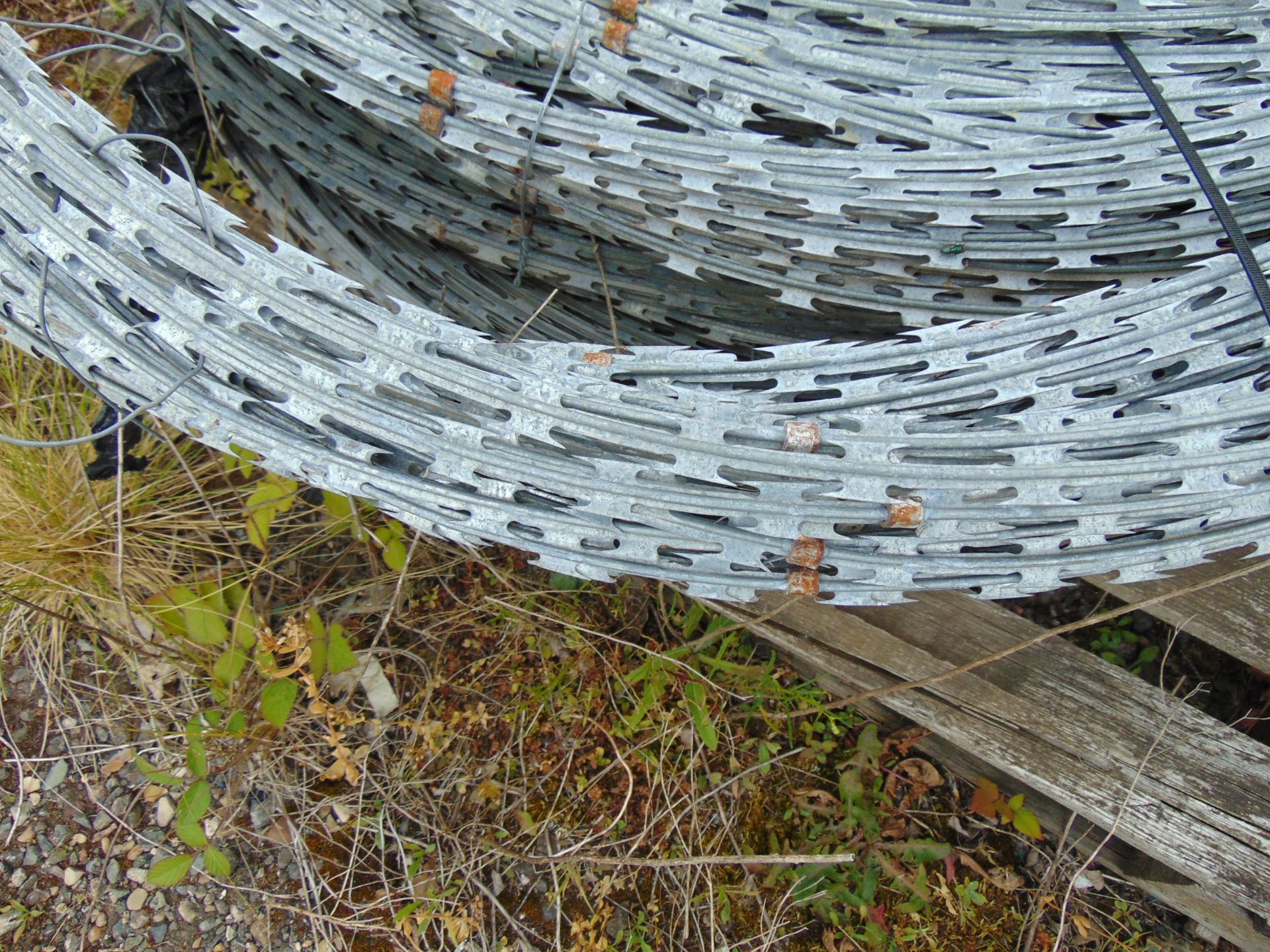 4 x Large Pallets of MoD Galvanised Razer Wire in Expanding Coils Quantity as shown - Image 6 of 6