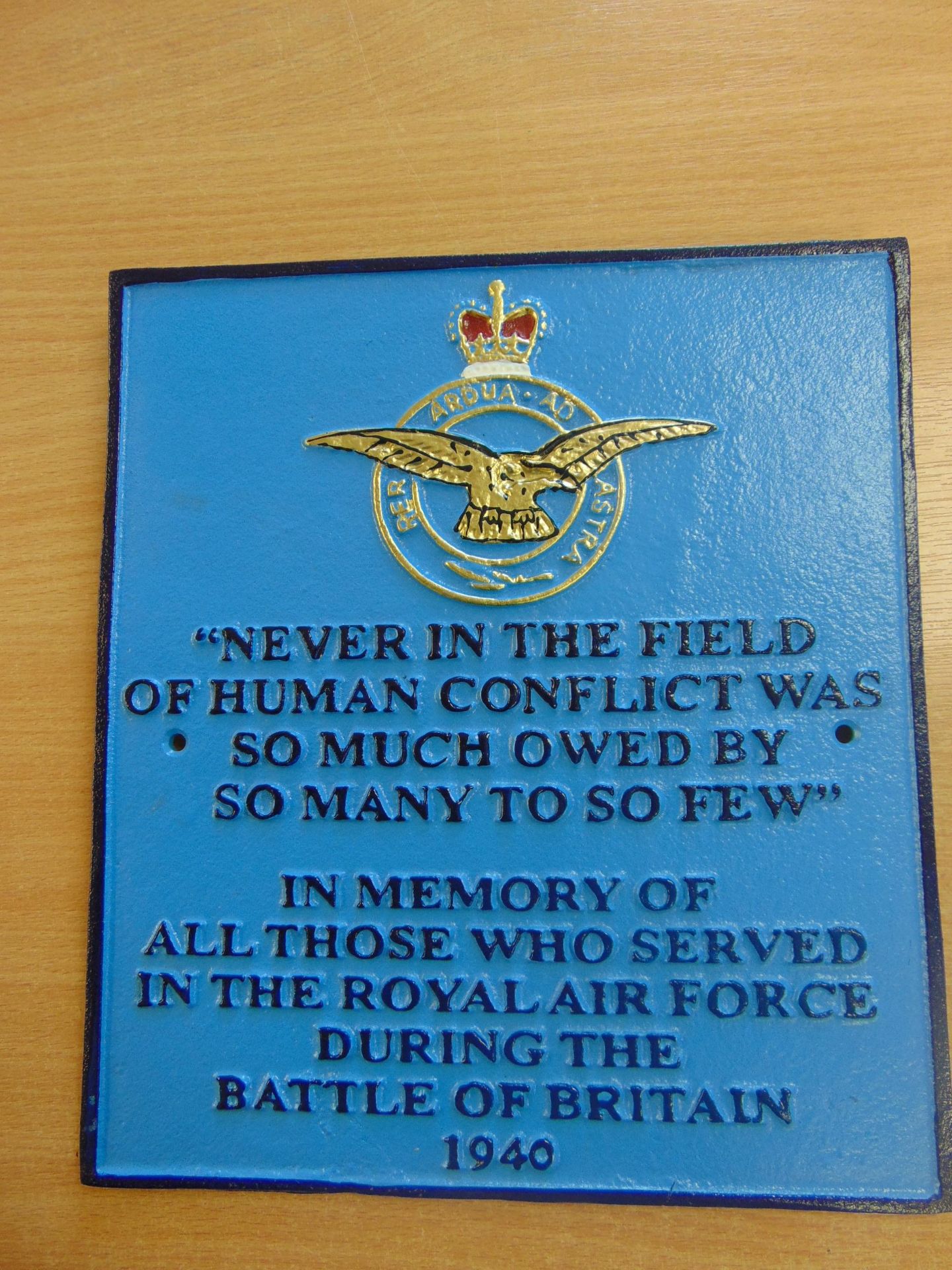 CAST IRON RAF HAND PAINTED WALL PLAQUE 26 CMS X 23 CMS - Image 2 of 4