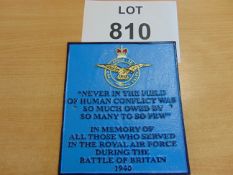 VERY NICE HAND PAINTED ROYAL AIR FORCE CAST IRON WALL PLAQUE 26 X 23CMS