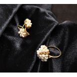 Yellow gold seed pearl cluster ring and earring set, believed to be 14ct approx. size of ring O