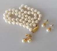A fifty-two bead cultured pearl choker necklace with oval 18ct gold clasp, hallmarked, maker MC,