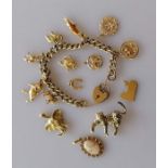 A yellow gold charm bracelet, with extra loose charms, pendants, etc, all hallmarked