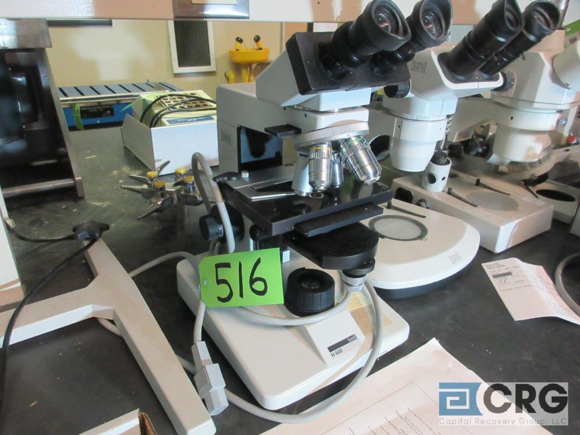 Binocular Microscope