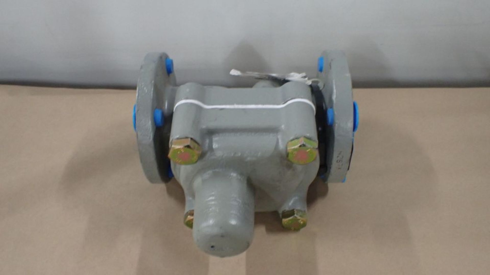 2" Horizontal Check Valve | Model No. 287AD; Tag: 231677