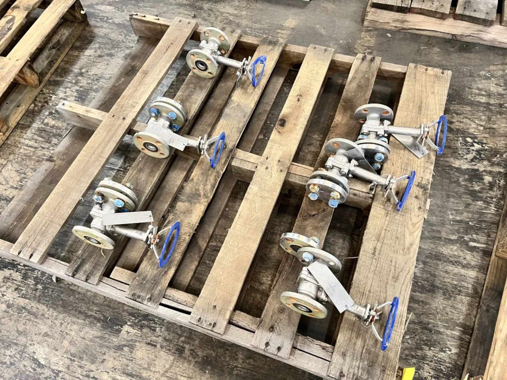 Lot of (6) Kinka 1" Valves | (5) Class-150, API 608 Body, 2205 Duplex Metal Type w/Additional 1"