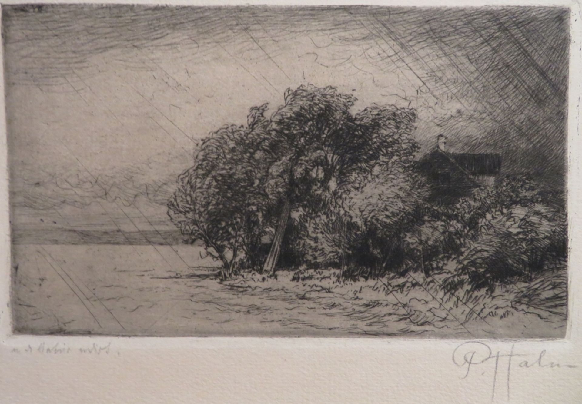Hahn, Peter, "Landschaft am Bodensee", Radierung, re.u.sign., 9,3 x 16 cm, o.R.
