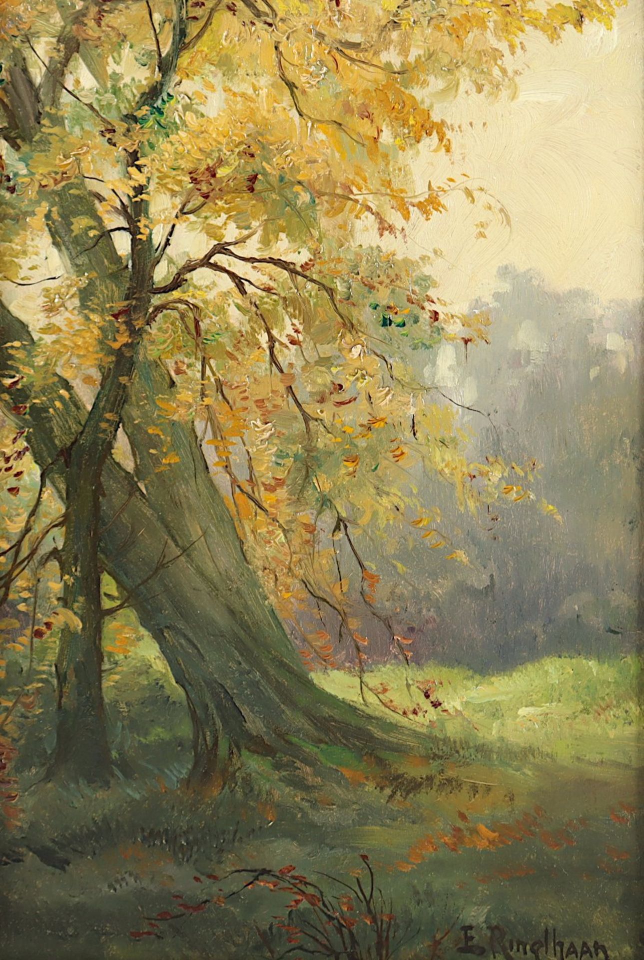 RINGLHAAN, E. (Maler um 1900),