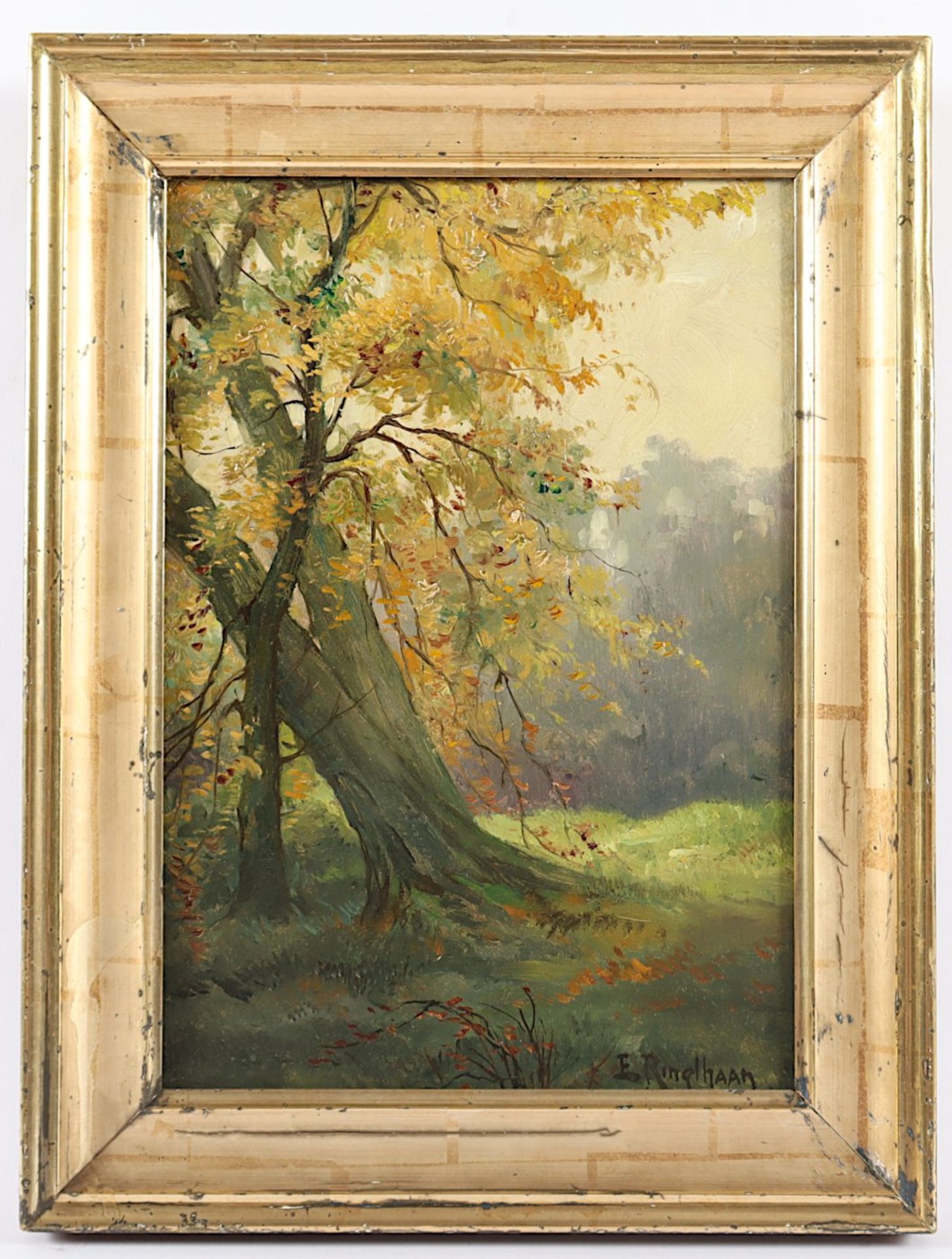 RINGLHAAN, E. (Maler um 1900), - Bild 2 aus 4