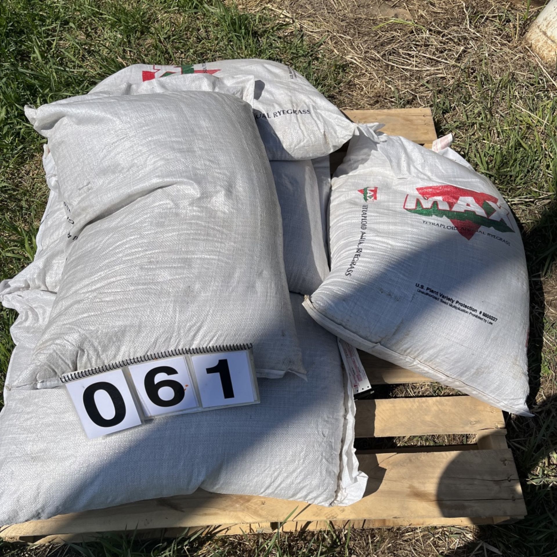 5 Bags Rye Grass Seed