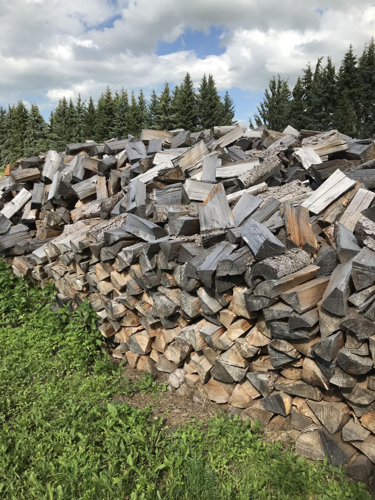 Pile 24'x14'x 6' Split Seasoned Fire Wood - Image 4 of 5