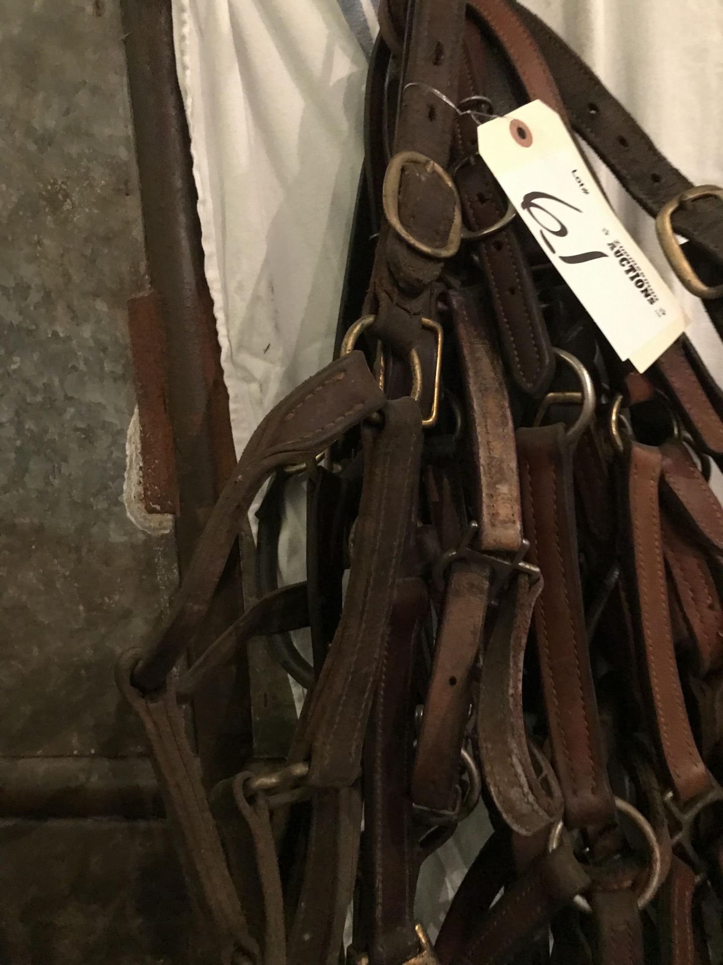 Leather halters - Image 2 of 3